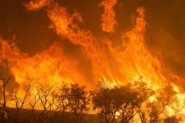 Sud America: ecco la rete delle estrazioni illegali di mercurio che stanno avveledo l'Amazzonia 10