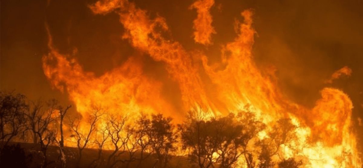 Sud America: ecco la rete delle estrazioni illegali di mercurio che stanno avveledo l'Amazzonia 2 Sud America: ecco la rete delle estrazioni illegali di mercurio che stanno avveledo l'Amazzonia 1