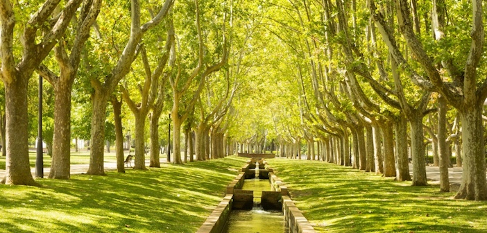 Infrastrutture sostenibili, verde comune