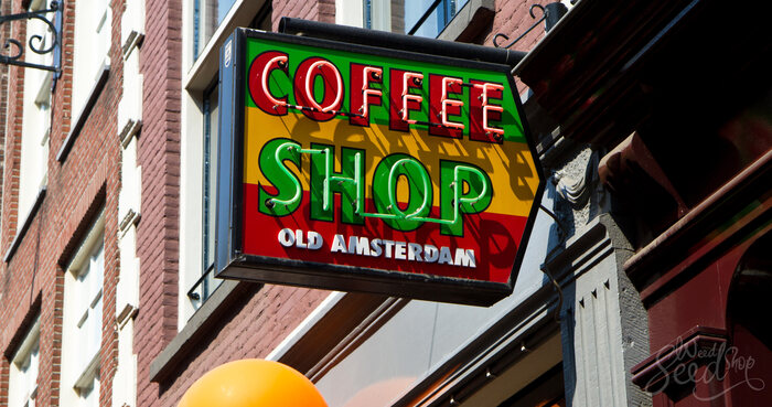 Quali sono i vantaggi oggettivi della legalizzazione della marijuana?