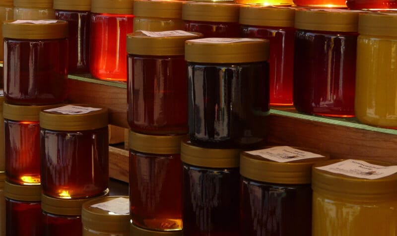 Corbezzolo, un frutto quasi dimenticato ma ricco di proprietà 6 corbezzolo