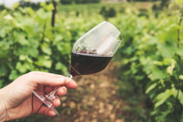 Strade del vino in Italia, le 4 location più belle dove andare nel 2021 19
