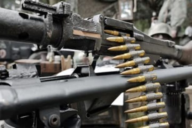 La denuncia di Weapon Watch: "Le armi israeliane passano dai porti italiani" 10