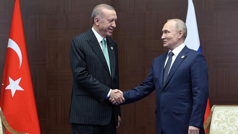Putin incontra Erdogan e propone un hub in Turchia per regolare il prezzo del gas 3 hub del gas_