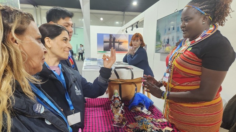 -organizzazione no-profit_