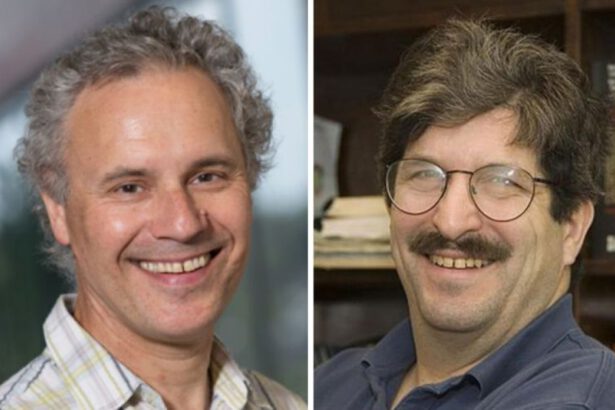 Premio Nobel per la Medicina 2024: la rivoluzione di Ambros e Ruvkun del microRNA 11