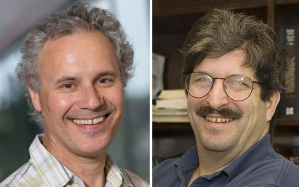 Premio Nobel per la Medicina 2024: la rivoluzione di Ambros e Ruvkun del microRNA 1