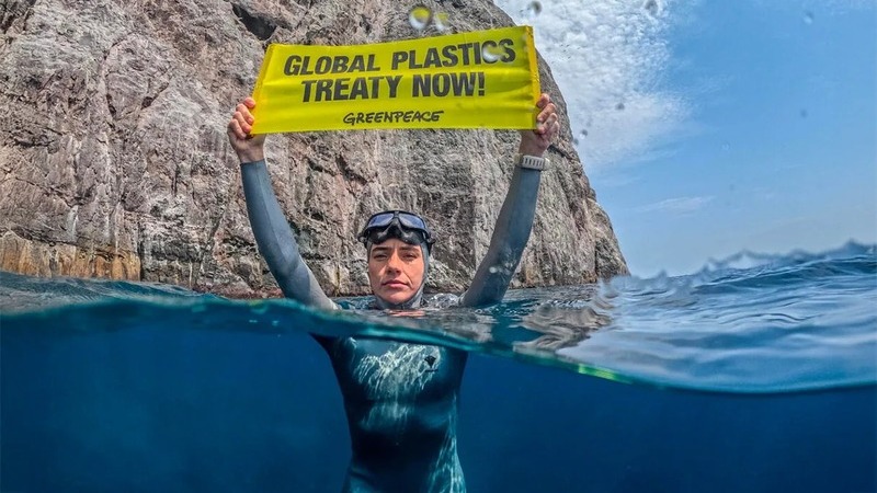 guida di Greenpeace_