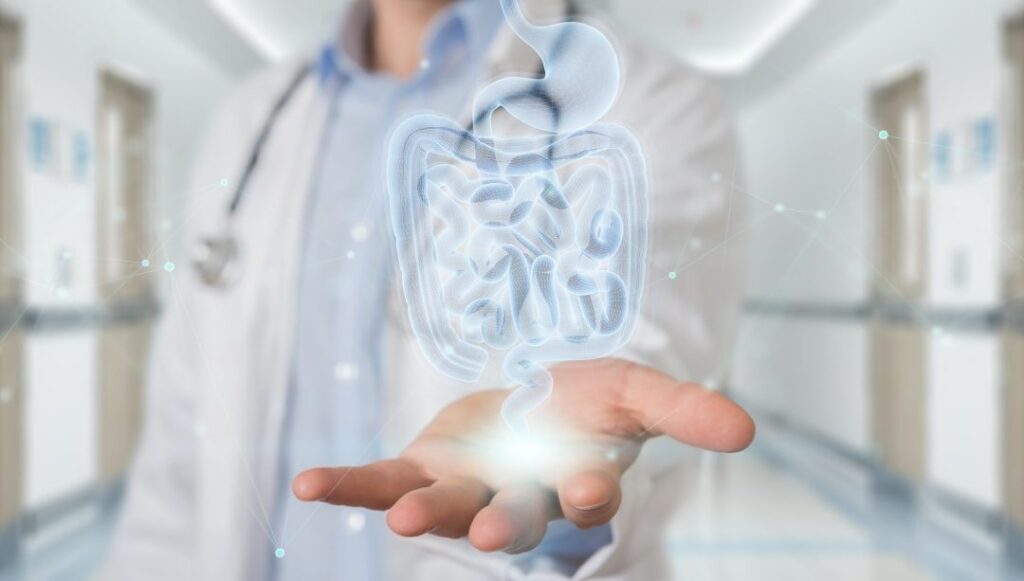 microbiota intestinale