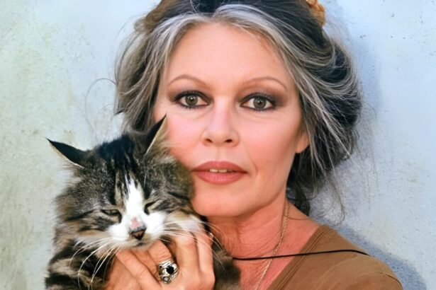 Brigitte Bardot, un'eredità da 65 milioni divisa tra la Fondazione animalista e il figlio Nicolas 23