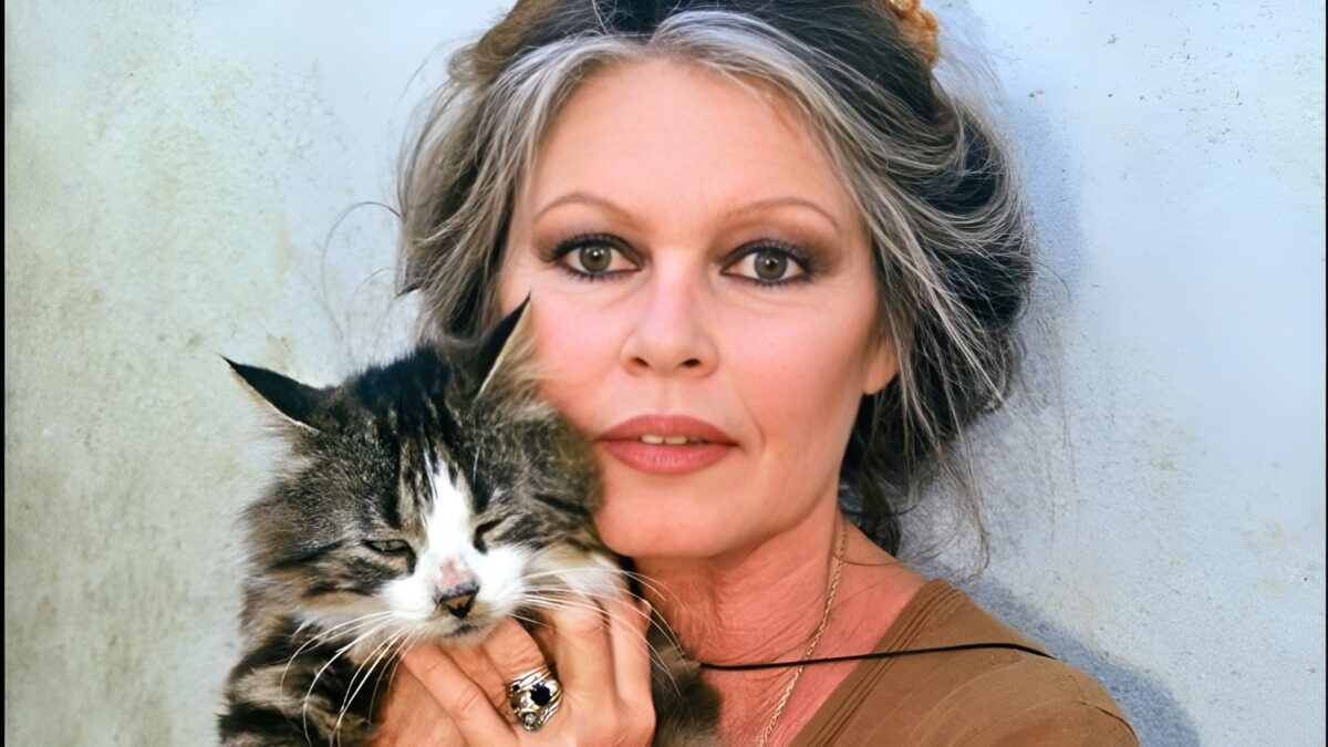 Brigitte Bardot, un'eredità da 65 milioni divisa tra la Fondazione animalista e il figlio Nicolas 1
