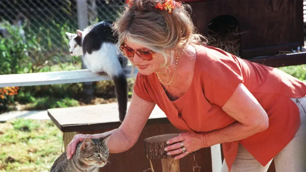 Brigitte Bardot e la vita trascorsa in difesa degli animali: tutte le campagne 3