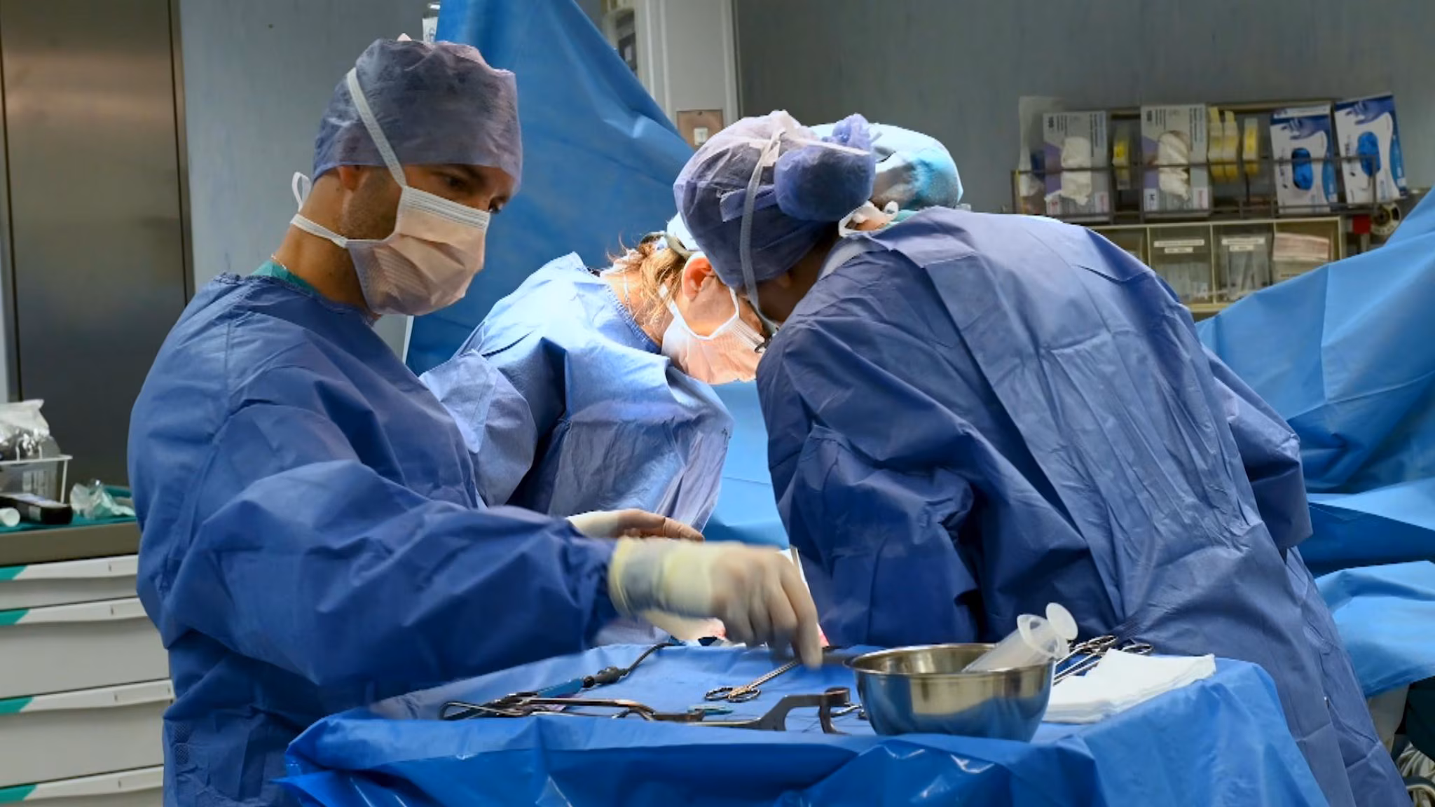 Donazione samaritana di rene a Padova, decimo caso in Italia: di cosa si tratta? 3