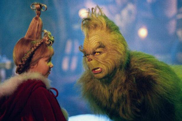 A Natale ritorna il Grinch: la vera storia e il lato umano dell'iconico personaggio 35