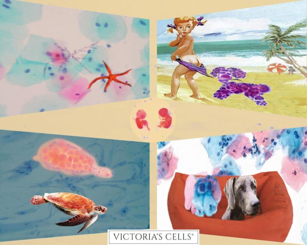 Arriva PAP-ART: il primo evento artistico sulla prevenzione del Papilloma Virus 3 PAP-ART: l'HPV come non lo avete mai visto, victoria's cells