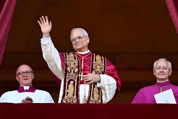 Un nuovo Papa, la pace a Gaza, le manifestazioni: cosa ricorderemo del 2025 59