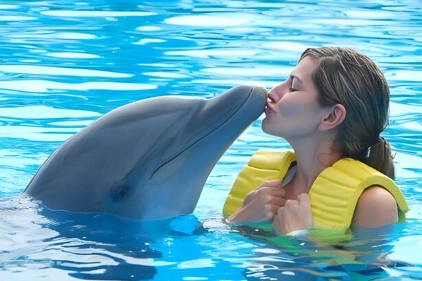 Più si è amici, meno si invecchia: quello che abbiamo da imparare dai delfini 137