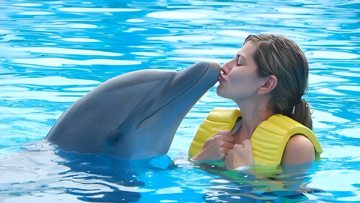 Più si è amici, meno si invecchia: quello che abbiamo da imparare dai delfini 1