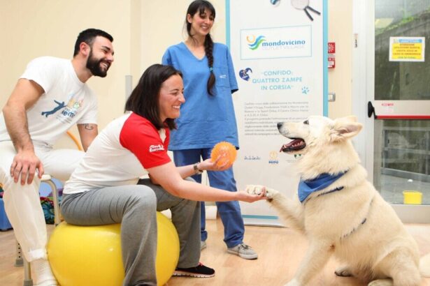 Pet therapy, salute mentale e migliore assistenza ai pazienti: il progetto 63