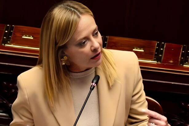 Referendum sulla giustizia, si vota il 22 e il 23 marzo: cosa ci è richiesto? 11